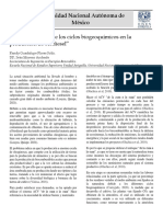 La Participación de Los Ciclos Biogeoquímicos en La Producción de Biodiesel