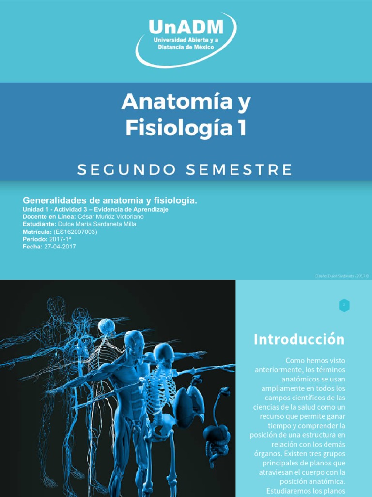 Anatomía Y Fisiología 1 Descargar Gratis Pdf Términos Anatómicos De