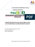 Investigación Educativa en El Tescha Sobre Los Tres Cultivos Hidropónicos Con Menor Tiempo de Cosecha