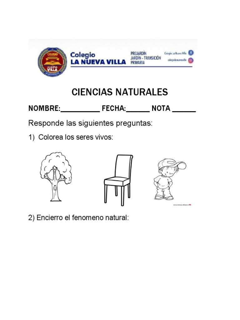 Actividades de Ciencias Naturales para Niños | PDF