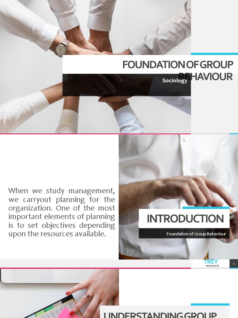 Foundation of Group Behaviour PDF Cognitive Science Psychological