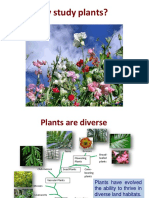 Why study plants? The many benefits of plant science