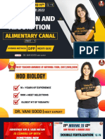 Alimentary Canal