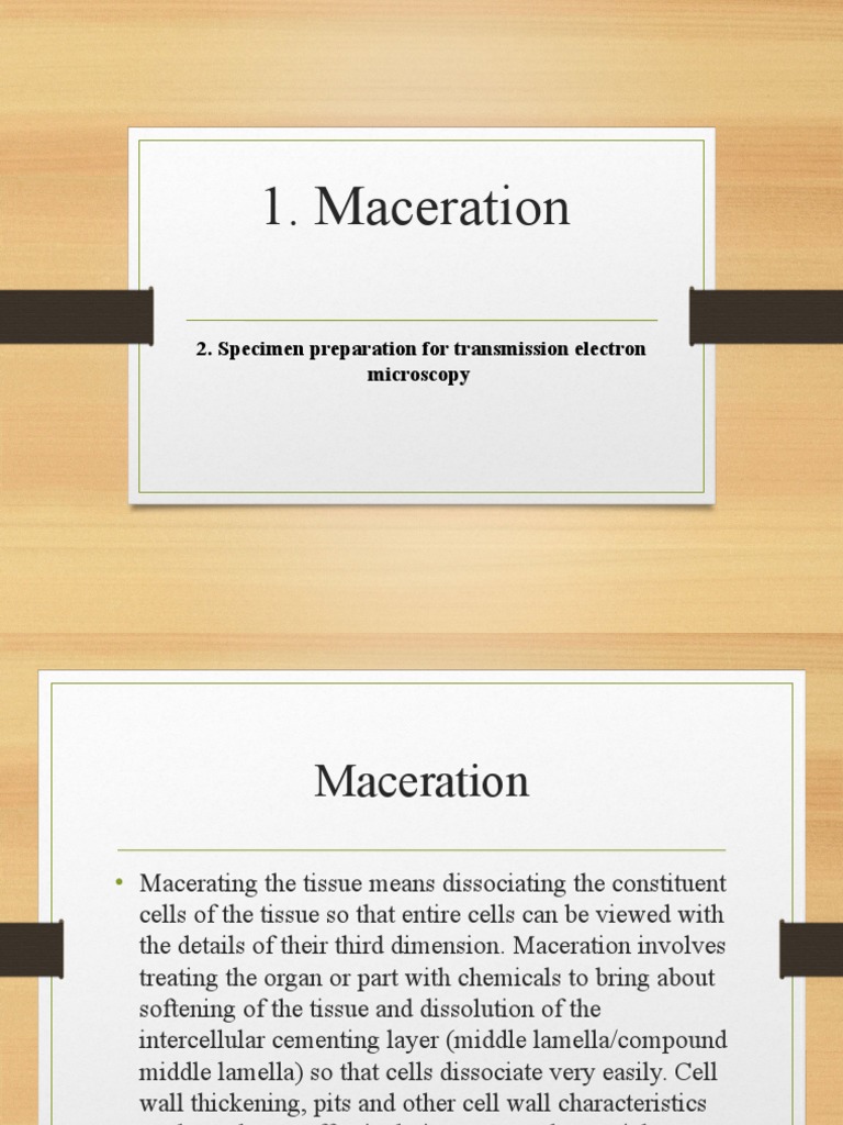 Maceration and TEM Download Free PDF Fixation (Histology) Proteins
