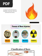 Burn Assessment Charts Guide | PDF