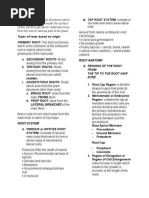 Monocot and Dicot Root Anatomy | PDF | Root | Plant Stem