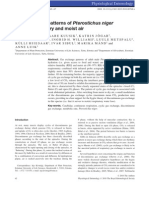 Gas Exchange Patterns of Pterostichus Niger (Carabidae) in Dry and Moist Air