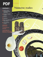 Matematicas I Unidad 1 1BACH GENiOX Pro