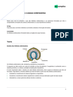 Destino dos folhetos embrionários e anexos embrionários