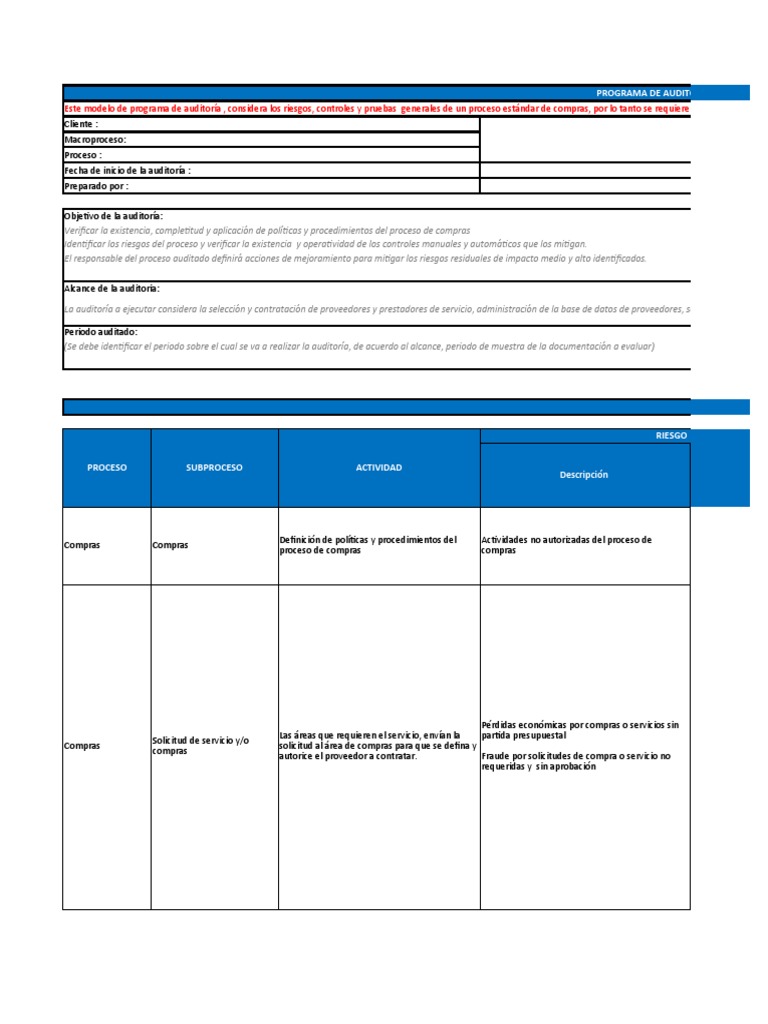 Auditoría del Proceso de Compras | PDF | Auditoría | Contabilidad