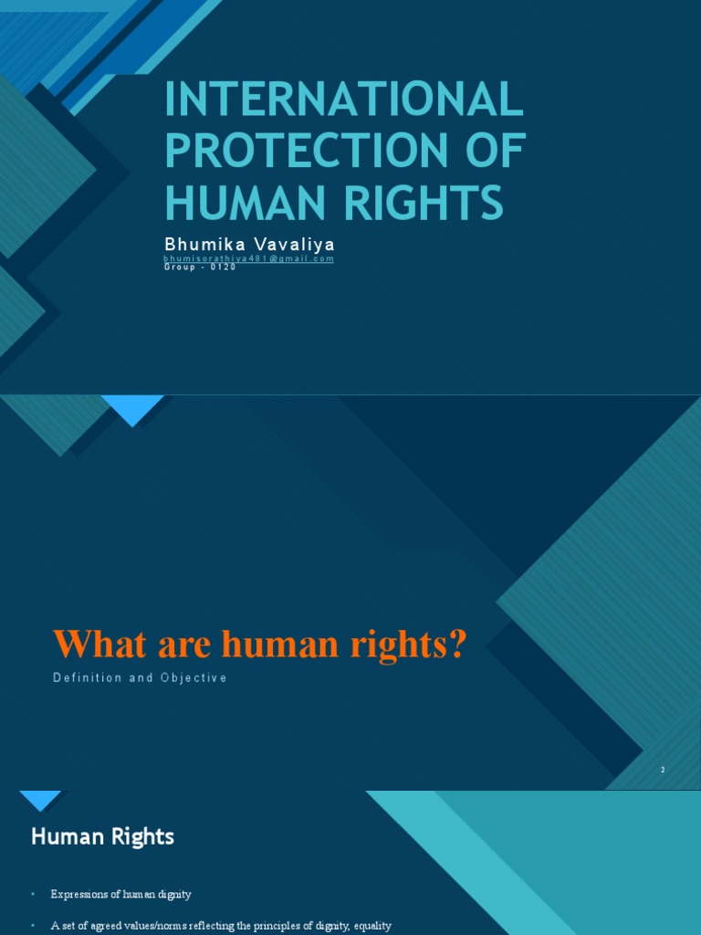 International Protection Of Human Rights Achievements And Challenges ...