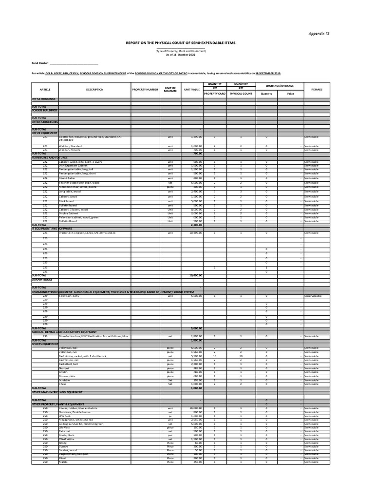Report On The Physical Count of SemiExpendable Items Appendix 73 PDF Manufactured Goods
