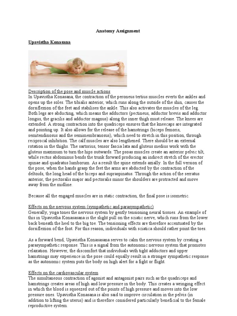 Anatomy Assignment UpavisthaKonasana | PDF | Anatomical Terms Of Motion ...