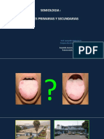 2022.semio - Bb.lesiones Primarias y Secundarias
