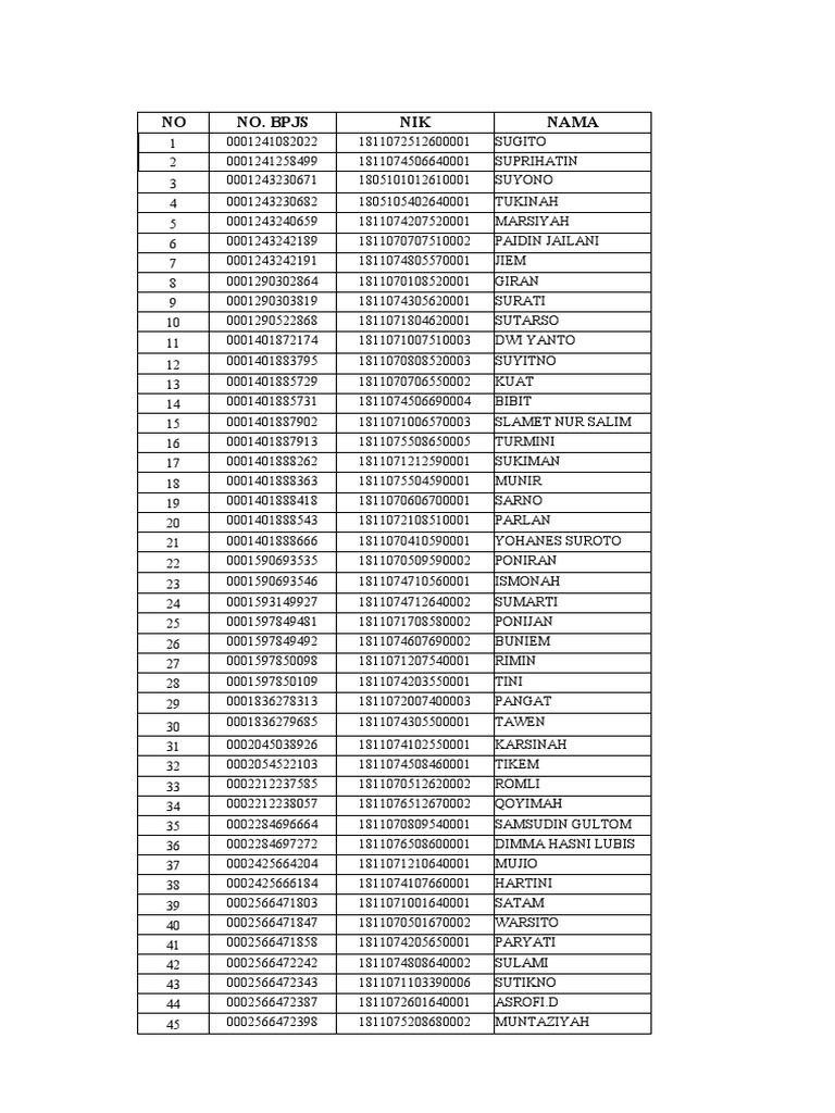 Data BPJS Lansia PDF