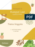 Kelompok 12: Rumput Laut