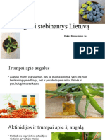 Augalai Stebinantys Lietuvą Biologija 7e