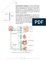 1.fisiopatología Del Dolor