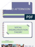 Social Disorganization Theory