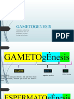 Game To Genesis