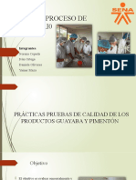 Trabajo de Proceso de Laboratorio de