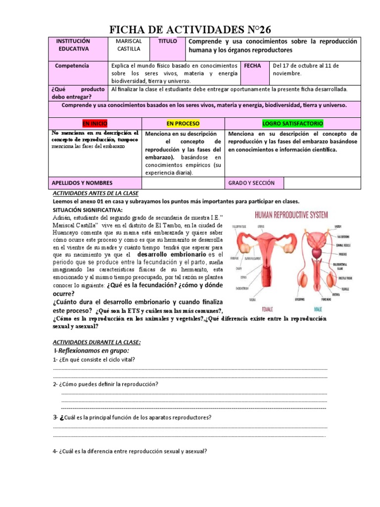Ficha N°26 Sistema Reproductor | PDF | Sistema reproductivo | Reproducción  humana, image size:768x1024