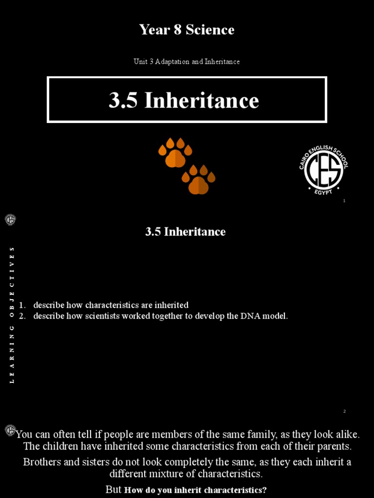 5 Inheritance | PDF