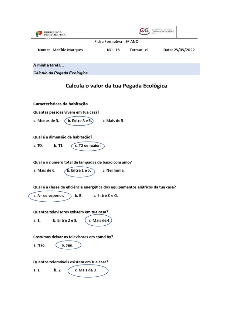 Ficha Formativa - Cálculo Da Pegada Ecológica | PDF | Desperdício ...