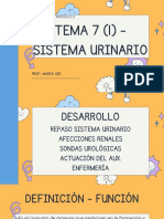 Sistema urinario módulo 2