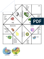 Cell Organelles