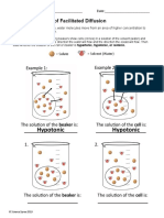 Osmosis Worksheet