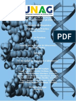 Practica 5. Acidos Nucleicos. Grupo #5