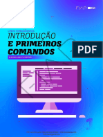 Linux 1 Introducao e Primeiros Comandos - RevFinal