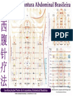 Mapa Acupuntura Abdominal Brasileira