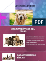 Disertacion Del Perro