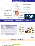 O funcionamento do sistema antioxidante