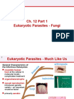 Ch. 12 Eukaryotic Parasites - Fungi