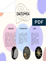 Diatomeas