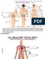Complete the gaps with body parts from the audios