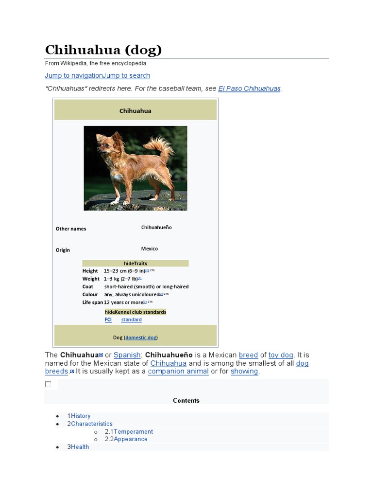 Chihuahua Dog Pdf Mammals As Pets Dogs