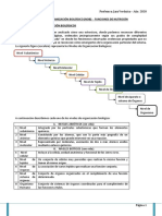 NOB y Funciones de Nutrición