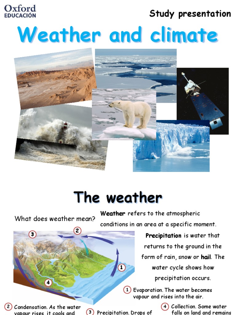 Weather & Climate Basics for Students | PDF | Climate | Weather