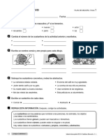 Sustantivos, Determinantes, Adjetivos