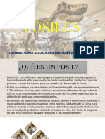 Fósiles, Proyecto