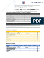 Competencias Curriculares Formato