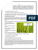 Fisiologia Del Arroz