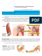 5° Básico Retroalimentación Sistema Muscular
