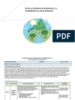 T21 EXP 13 - 3 AÑOS Planificacion