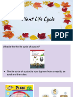 Plant Life Cycle