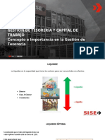 Gestión de Tesorería Y Capital de Trabajo Concepto e Importancia en La Gestión de Tesorería